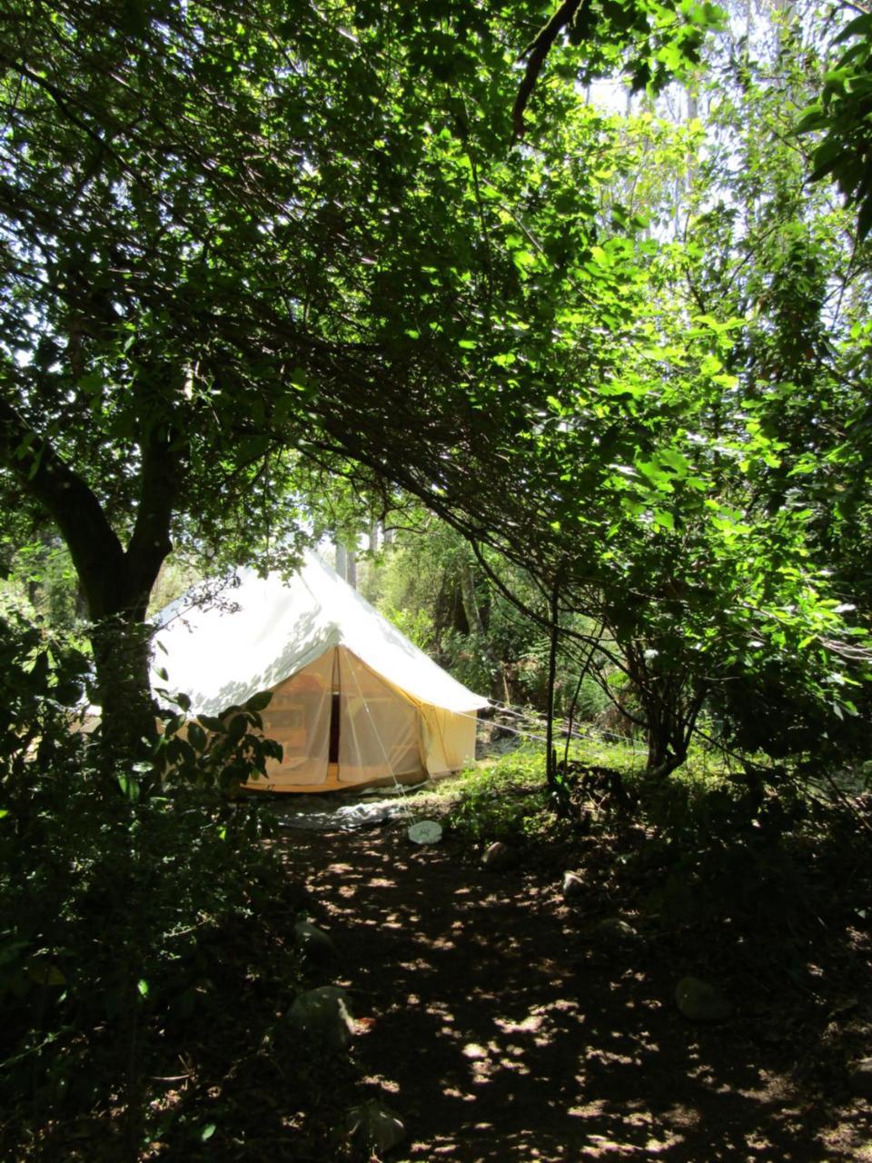 Greenstone Retreat Kumara Bagian luar foto